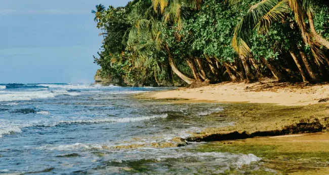 Cotriguaçu, Vila Rica e Colniza têm a pior cobertura vacinal contra  covid-19 em MT :: Leiagora, Playagora