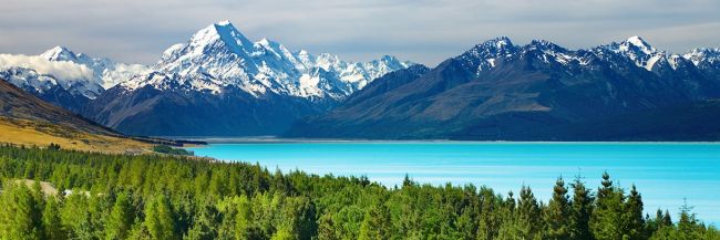 New Zealand visa for US citizens - How long can you stay and requirements cover image