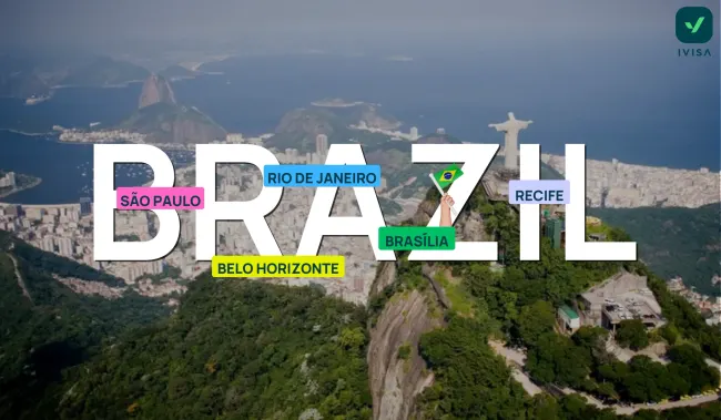 Fill out a Brazil eVisa application form