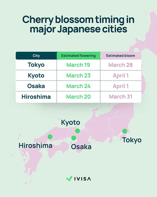 Infographic titled “Cherry blossom timing in major Japanese cities” showing estimated flowering and peak bloom dates for sakura season across Japan. The chart lists Tokyo with flowering around March 19 and full bloom around March 28, Kyoto with flowering around March 23 and bloom around April 1, Osaka with flowering around March 24 and bloom around April 1, and Hiroshima with flowering around March 20 and bloom around March 31. The graphic includes a map of Japan marking Tokyo, Kyoto, Osaka, and Hiroshima to illustrate typical cherry blossom viewing timing for travelers planning spring trips to Japan.
