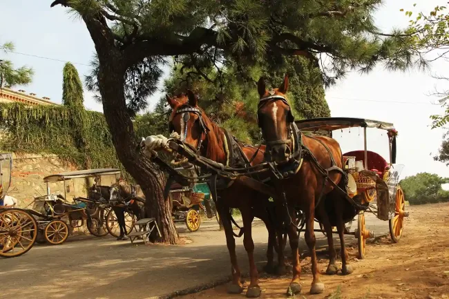 istambul princess islands