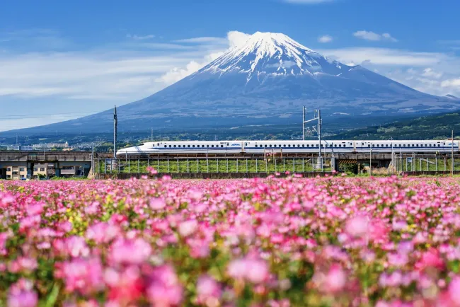 japan train landscape
