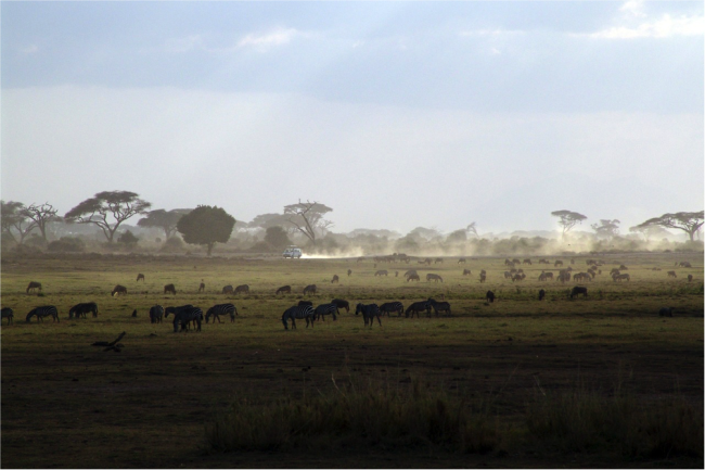 Find out about Zambia 14 day quarantine requirement cover image