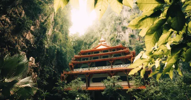 pagoda jungle sunlight