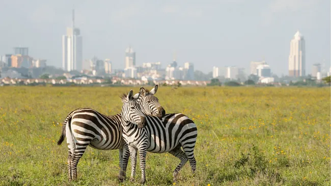 Kenya now requires $50,000 travel health insurance for all visitors