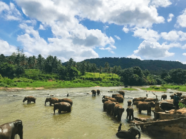 Best time to visit Sri Lanka, weather by month - climate - seasons