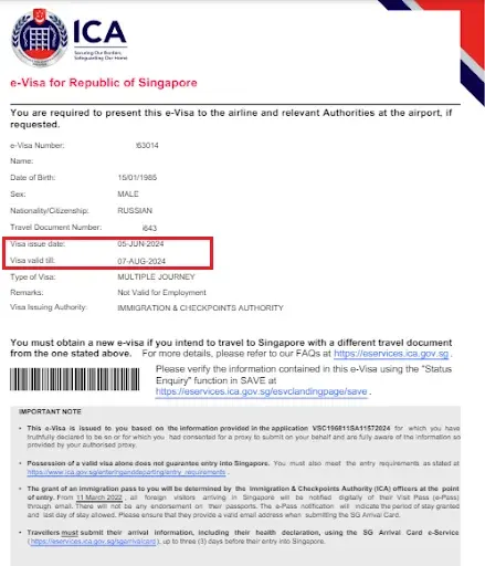 Screenshot of a Singapore e-Visa for a Russian citizen, showing key details such as visa issue date (05 June 2024), visa validity until (07 August 2024), type of visa (Multiple Journey), and a note that it is not valid for employment.